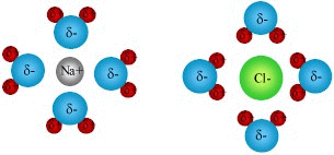 Water Orientation