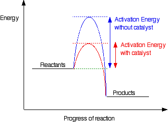 Catalyst Effect and Energy Profile Graph